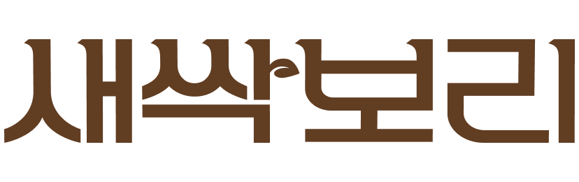 새싹보리